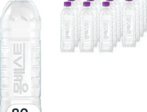 요즘 뜨는 80개 품질 가격 최고 제품