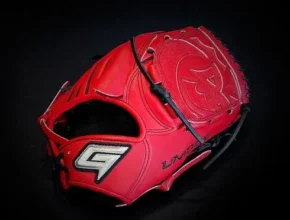 내돈내산 골드외야글러브 TOP 제품