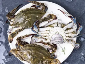 내돈내산 국내산 못난이 손질꽃게  가성비 좋은 제품