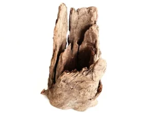 인플추천 그루터기유목 가성비 좋은 제품