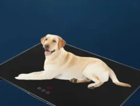 내돈내산 대형견체중계 BEST 제품