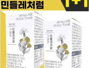 내돈내산 덱스트린 가격 비교