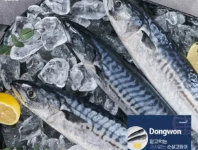 핫딜 동원 가시없는 순살 고등어 특대 사이즈 28팩 총 4kg 베스트 추천 제품