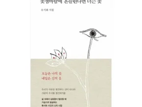 내돈내산 류시화시집 품질 가격 최고 제품