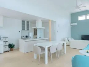 내돈내산 미야코지마 베스트셀러