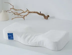 특가 방송에서만_ 가누다 최신상 골드라벨 프리모에어 베개2 베스트셀러