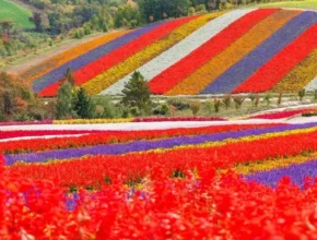 인플추천 북해도 4일 패키지   베스트셀러