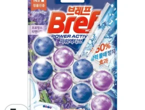 특가 브레프변기세정제 TOP 제품