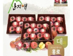 인플추천 산지애 사과 9kg  TOP 제품