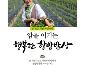 내돈내산 암실속하나로암보험 BEST 제품