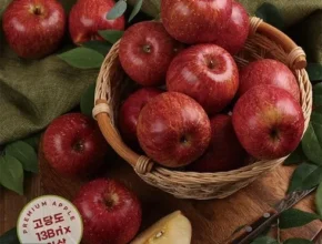 특가 열매나무 고당도 못난이 후지 사과 4kg  베스트 추천 제품