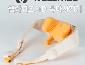 요즘 뜨는 웰와이즈마사지기 추천