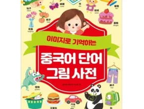 내돈내산 윙키화상중국어 핫 아이템