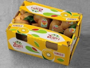 요즘 핫한 제스프리 썬골드키위 3.7kg대과사이즈 최고 인기 제품