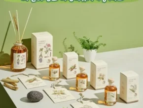 특가 테일러센츠 비건디퓨저 기본패키지 품질 가격 최고 제품