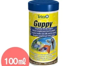 요즘 뜨는 테트라구피 핫 아이템