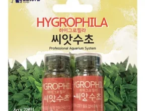 특가 하이그로필라 가격 비교