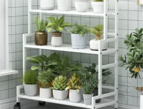 내돈내산 화분진열대 TOP 제품