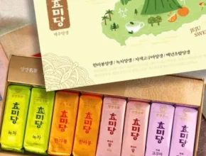 요즘 핫한 효미당 양갱세트 45gX20개X2박스 핫 아이템