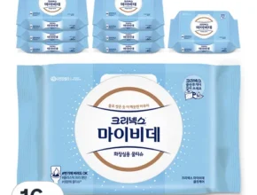 특가 크리넥스비데 BEST 제품