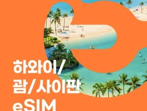 요즘 뜨는 하와이이심 만족도 최고 제품